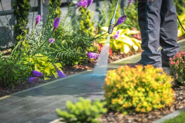 Best Pool Deck Cleaning in Downers Grove, IL